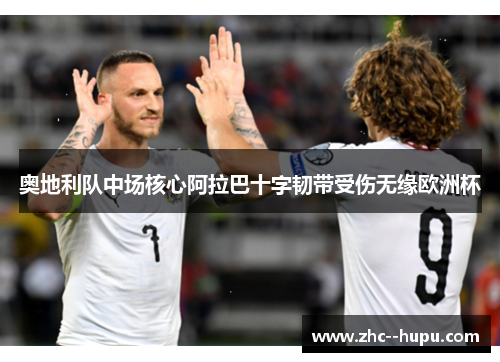 奥地利队中场核心阿拉巴十字韧带受伤无缘欧洲杯